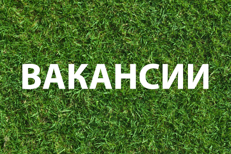 Предлагаем Вашему вниманию актуальные вакансии для студентов от 15.06.2016 Иллюстрация к новости: Предлагаем Вашему вниманию актуальные вакансии для студентов от 15.06.2016